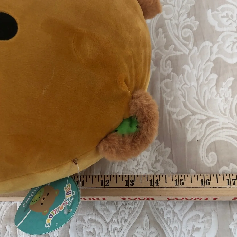 Squishmallows Mitchard the Kiwi Bear 14”Plush with Tag Use as display only